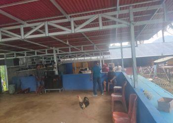 Pemilik Velt Diamankan, Lokasi Sabung Ayam di Motoboi Besar Dibongkar Polisi