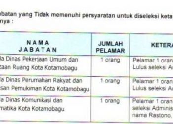 Minim Pelamar, Pansel Tunda Lelang Tiga Jabatan Eselon II