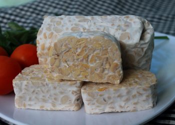 Usaha Jualan Tempe Janjikan Untung Besar