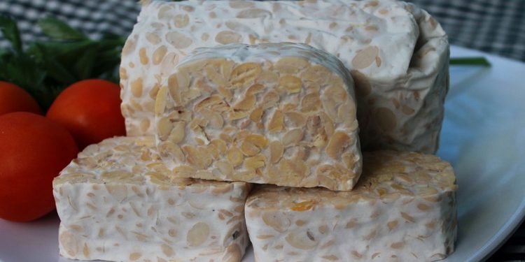 Usaha Jualan Tempe Janjikan Untung Besar