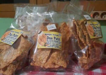 Bisnis Keripik Tempe Menjanjikan