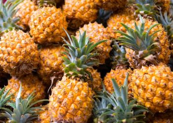 Permintaan Meningkat, Penjual Nenas Raup Untung