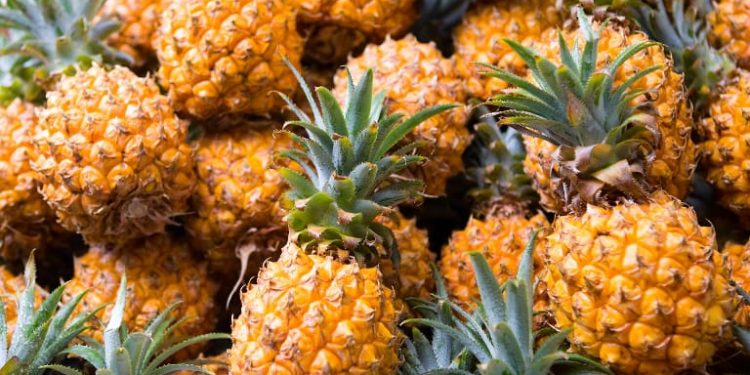 Permintaan Meningkat, Penjual Nenas Raup Untung