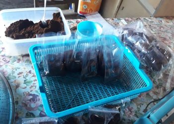 Bisnis Kopi Bubuk, Modal Kecil yang Janjikan Keuntungan Besar