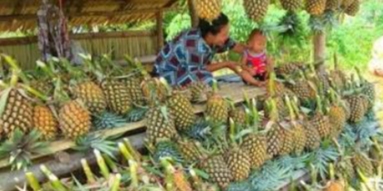 Jelang Idul Fitri, Nenas Mongkonai Diburu Pembeli