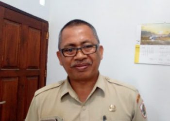 Kopi Kotamobagu Layak Ekspor