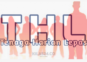 Kebijakan Merumahkan THL Boltim dan Upaya Sterilisasi KKN