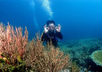 Penyelam Senior Sebut Keindahan Bawah Laut Boltim Salah Satu yang Terbaik di Dunia