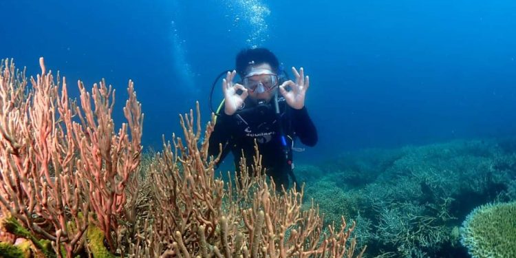 Penyelam Senior Sebut Keindahan Bawah Laut Boltim Salah Satu yang Terbaik di Dunia
