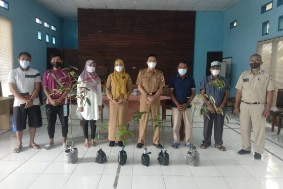 Mewakili Wali Kota Kotamobagu, Sekda Serahkan Bantuan Bibit Kepada Poktan