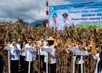 Peringati Hari Tani Nasional, Wali Kota Ikut Gerakan Aksi Panen Raya Secara Virtual