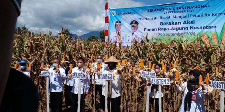 Peringati Hari Tani Nasional, Wali Kota Ikut Gerakan Aksi Panen Raya Secara Virtual