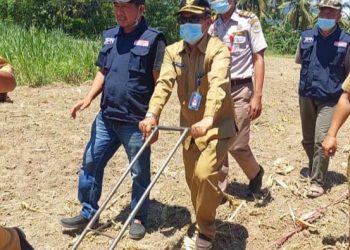 Sektor Pertanian Topang Ekonomi Masyarakat di Tengah Pandemi Covid-19