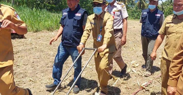 Sektor Pertanian Topang Ekonomi Masyarakat di Tengah Pandemi Covid-19