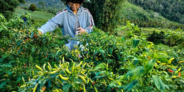 Akhir Pekan Yasti Berkebun