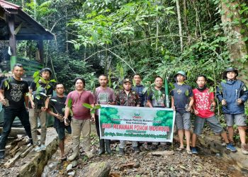 Pemuda Muhammadiyah Kotamobagu Tanam 100 Pohon Nantu di Kawasan Air Terjun Molimpungan