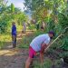 Pemdes Sumberejo Lakukan Baksos Di Jalan Perkebunan Warga