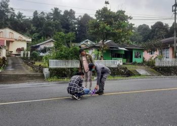 Hasil Lobi Bupati, Jalan Moyongkota-Purworejo akan Diperlebar