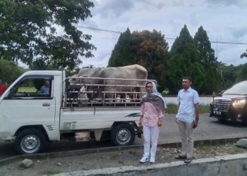 PT. KIMong dan Yasti Soepredjo Mokoagow Bagikan Hewan Qurban