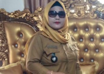 Pemdes Idumun Imbau Warga Waspada DBD