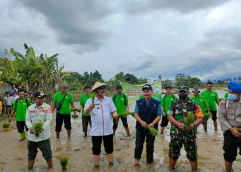 Bupati Limi Tanam Padi dan Holtikultura di Desa Insil dan Konarom 