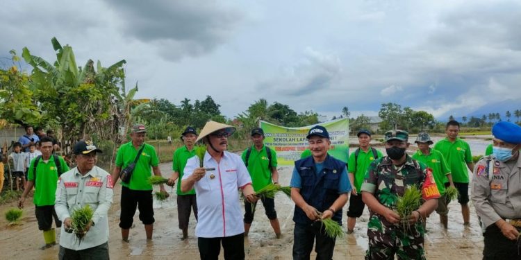 Bupati Limi Tanam Padi dan Holtikultura di Desa Insil dan Konarom