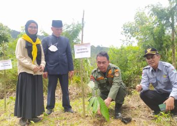 Dinas Pertanian Bersama KMPA Maleo dan Resort Kehutanan Wilayah Boltim Lakukan Penanaman Bibit Pohon di Mooat