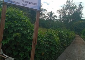 Pemdes Liberia Timur Rampungkan Pembangunan Jalan Paving Block di Dusun IV