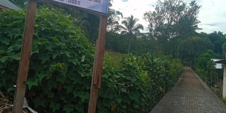 Pemdes Liberia Timur Rampungkan Pembangunan Jalan Paving Block di Dusun IV