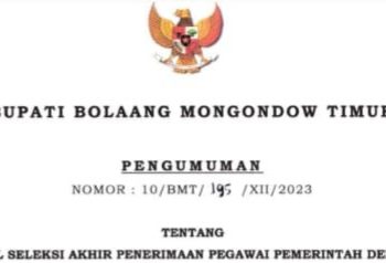 Pansel Umumkan Hasil Seleksi PPPK Guru dan Nakes 2023