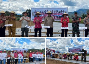 Hadiri Penanaman Holtikultura Perdana di Desa Mopait, Ini Harapan Bupati Limi