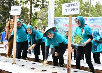 Gelar Gertam Cabai di Desa Liberia Timur, Sangadi Ucapkan Terima Kepada TP-PKK Boltim
