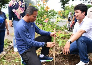 Perindah Wajah Timur Totabuan, Bupati SSM Tanam Pohon Tabebuya