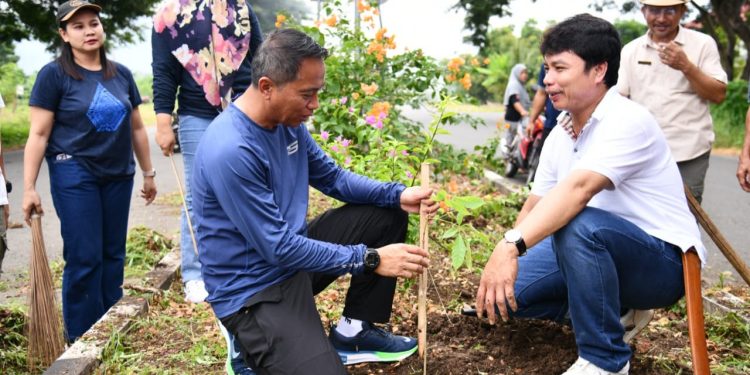 Perindah Wajah Timur Totabuan, Bupati SSM Tanam Pohon Tabebuya