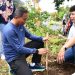 Perindah Wajah Timur Totabuan, Bupati SSM Tanam Pohon Tabebuya