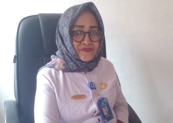 Pemdes Modayag II Imbau Masyarakat Berhati-hati Terhadap DBD