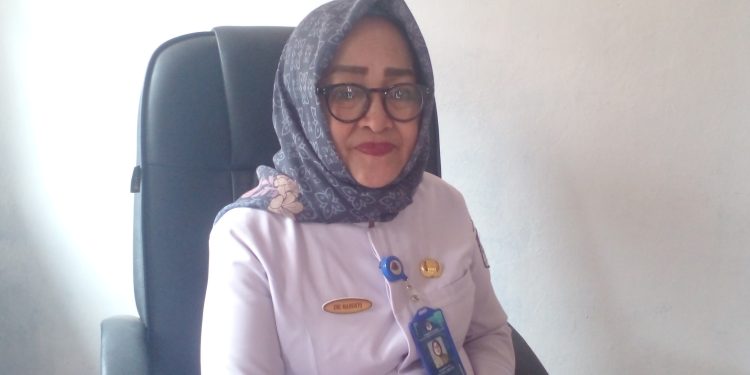 Pemdes Modayag II Imbau Masyarakat Berhati-hati Terhadap DBD