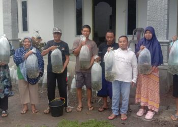 Pemdes Purworejo Timur Salurkan Bantuan Benih Ikan Nila kepada 147 Penerima