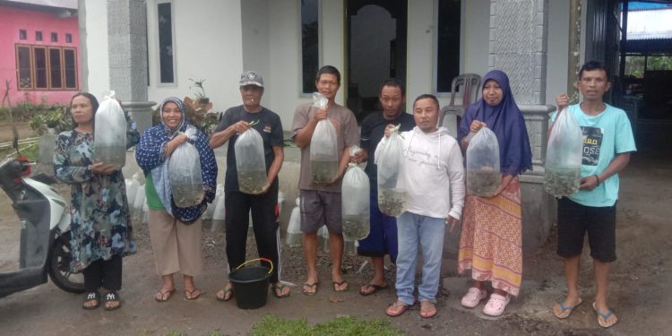 Pemdes Purworejo Timur Salurkan Bantuan Benih Ikan Nila kepada 147 Penerima