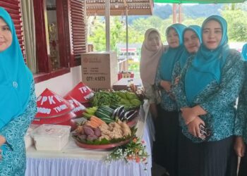 Lomba Tertib Administrasi dan Aku Hatinya di Desa Purworejo Timur, Sangadi Ucapkan Terima Kasih atas Kunjungan TP-PKK Provinsi Sulut dan Tim Penilai