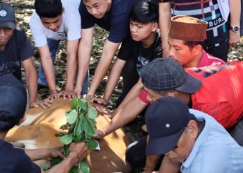 Idul Adha: PT. Xinfeng Sumbang 3 Ekor Sapi