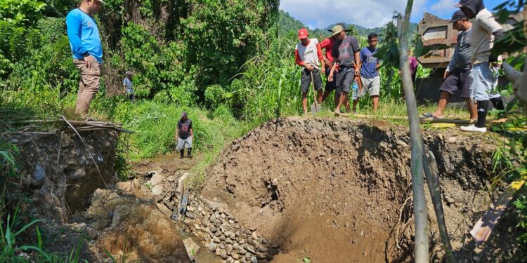 Petani Sawah Terancam Gagal Panen: Sulhan Manggabarani Kerahkan Alat Berat Perbaiki Irigasi